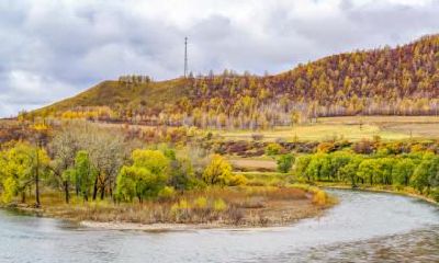 不同年份的属鸡人出生于秋分节气命运怎么样?