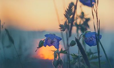 2022年农历十月初九是黄历吉日吗?当天黄历时辰吉凶