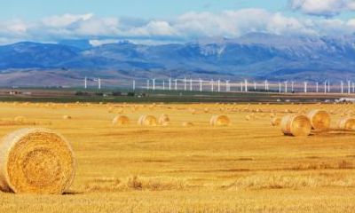 不同年份的属马人出生在秋分节气命理解析