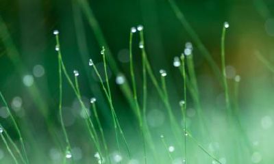 白露下雨好还是天晴好?白露下雨有什么农谚