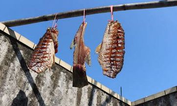 为什么说属虎女命硬