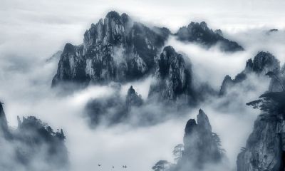 属牛人2019年财运好吗,会不会有贵人运