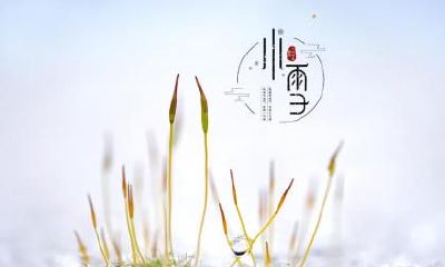 小雪节气出生的属猪宝宝命运运势如何?