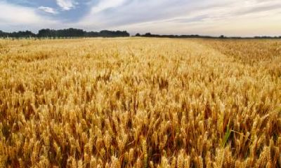 2022年秋分是哪一天?这天有什么农历活动吗?