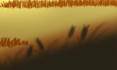 这样做才能把生肖牛男生的心抓住!