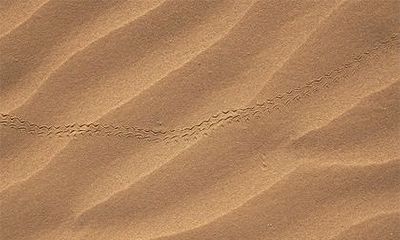 2021年壁上土命生于几月最旺?几点出生大富大贵?