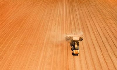 2021年壁上土命的人命运如何?壁上土命人适合往哪个方向发展?