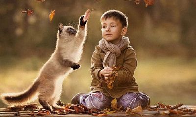 姓潘的男孩名字宜用字