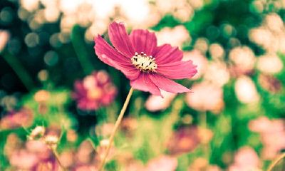 2018最新小孩起名方法