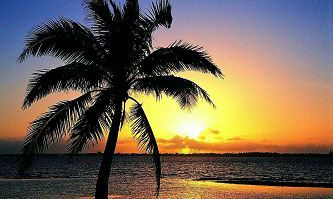 属牛人2019年几月结婚好