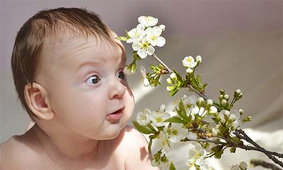 我属鼠老公属鸡今年可以生一个属虎的孩子吗?