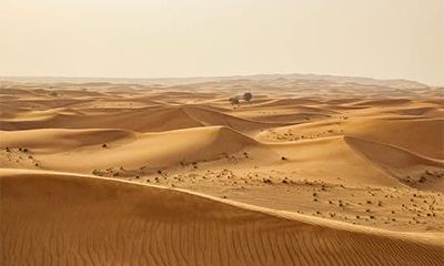 壁上土命属牛最忌讳几月生?什么颜色旺壁上土?