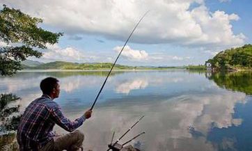 梦见自己钓了好多鱼有什么征兆