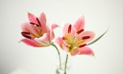 巨蟹座的4个秘密特性,没多久处便难以发觉