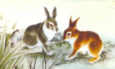 巨蟹座兔子,属兔人性格解读