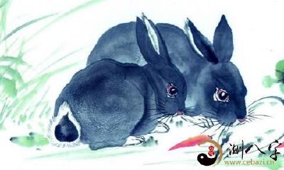 1999年属兔人一生命运