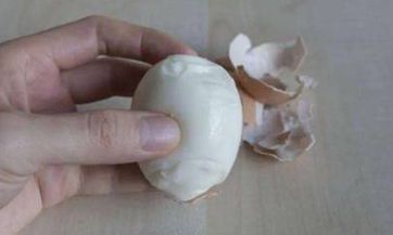 梦到玉米地掰玉米棒子什么意思