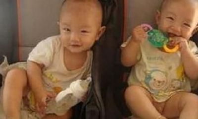 陈述双胞胎男孩起名