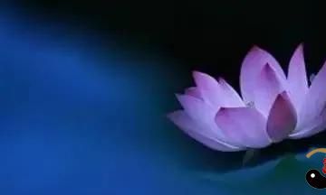 你的脸相,曝露了你的运势