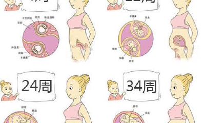 双胞胎怎么起名知识