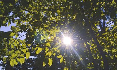 2022年农历十二月初三黄历宜开工吗?