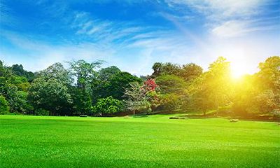 平地木命和金箔金命相克吗?平地木命性格特点