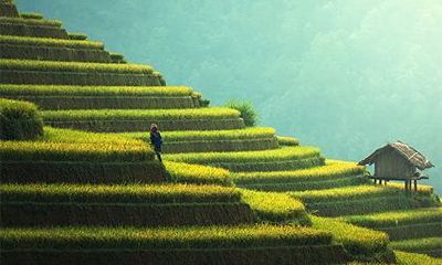 平地木命最怕什么命?平地木命的人命运如何?