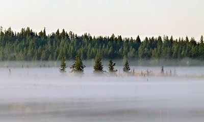 正印格女命最佳配偶,正印格女命有多厉害?