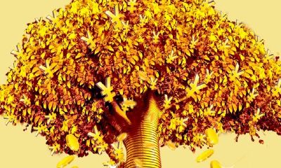 测一测你一生的财旺岁月,能财源滚滚的人