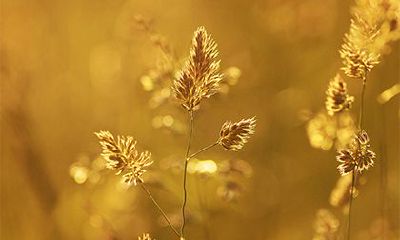 虎年2022年农历十二月十七日开工好吗?