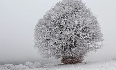 天喜桃花和红鸾桃花哪个好?红鸾和天喜哪个更适合结婚?