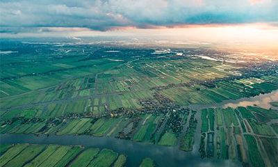 女命八字里偏财在哪柱最好?偏财在四柱中的作用