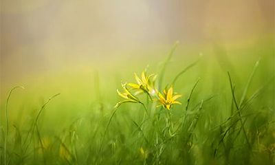 农历十月是什么命?2022年十月初八出生是上等命吗