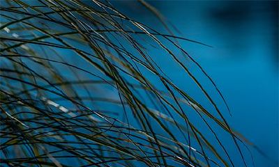 2022年农历十月出生的虎好吗?什么时候的虎宝宝好