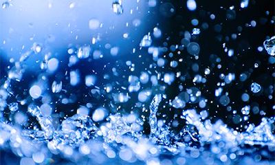 长流水命和大林木命相克吗?大林木命最喜欢哪种水命?