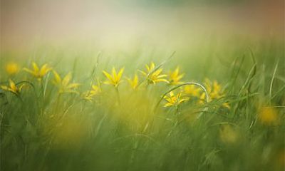 农历十月出生的男人命运怎么样?2022年生男孩的生肖女