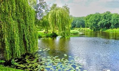 长流水命和大海水命相克吗?大海水命和什么命相克?