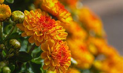 2022年农历十二月开工吉日是哪几天