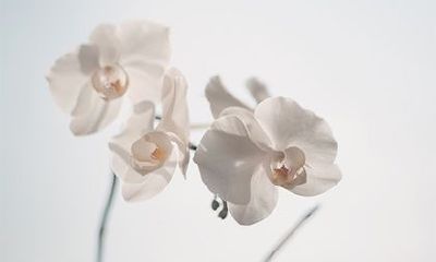 农历十月适合去哪里玩?2022年出远门的吉利日子