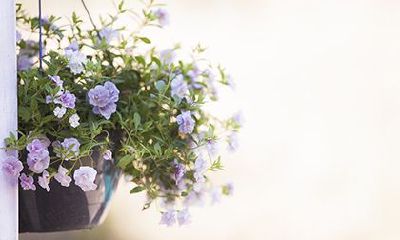 2022年腊月有什么节气?农历十二月的日历表