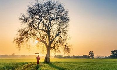 松柏木命和石榴木命相克吗?松柏木命用什么材质文昌塔?