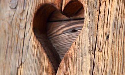 松柏木命和大海水相克吗?松柏木命的性格特点