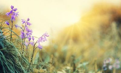 2022年农历十月开工吉日一览表,开工大吉祝福语