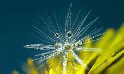 长流水命几月出生好?长流水最怕哪个命?