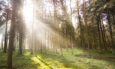 2022年农历十二月份好日子是哪些?腊月吉日一览表