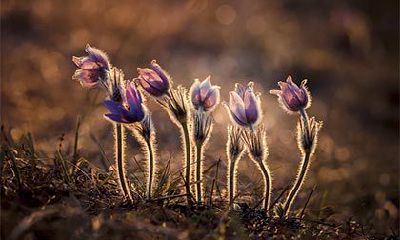 2022年农历十月有多少天?农历十月的别称有哪些