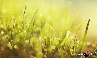 你的脸相,决策了你的运势!