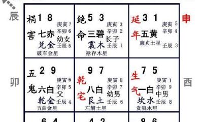 九宫飞星分析秘诀,四绿文曲木星之组合