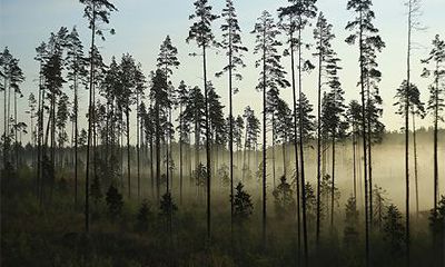 国印贵人落在时柱上代表什么?国印贵人多好吗?