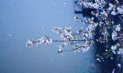 2022年农历十月是什么月?农历十月初一是什么节